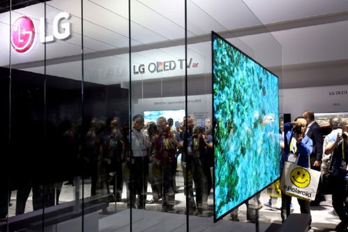 面板价格大跌,LG显示器一季度盈利锐减93